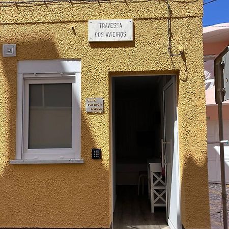 Casas Dona Emilia Apartment Vieira de Leiria Exterior foto